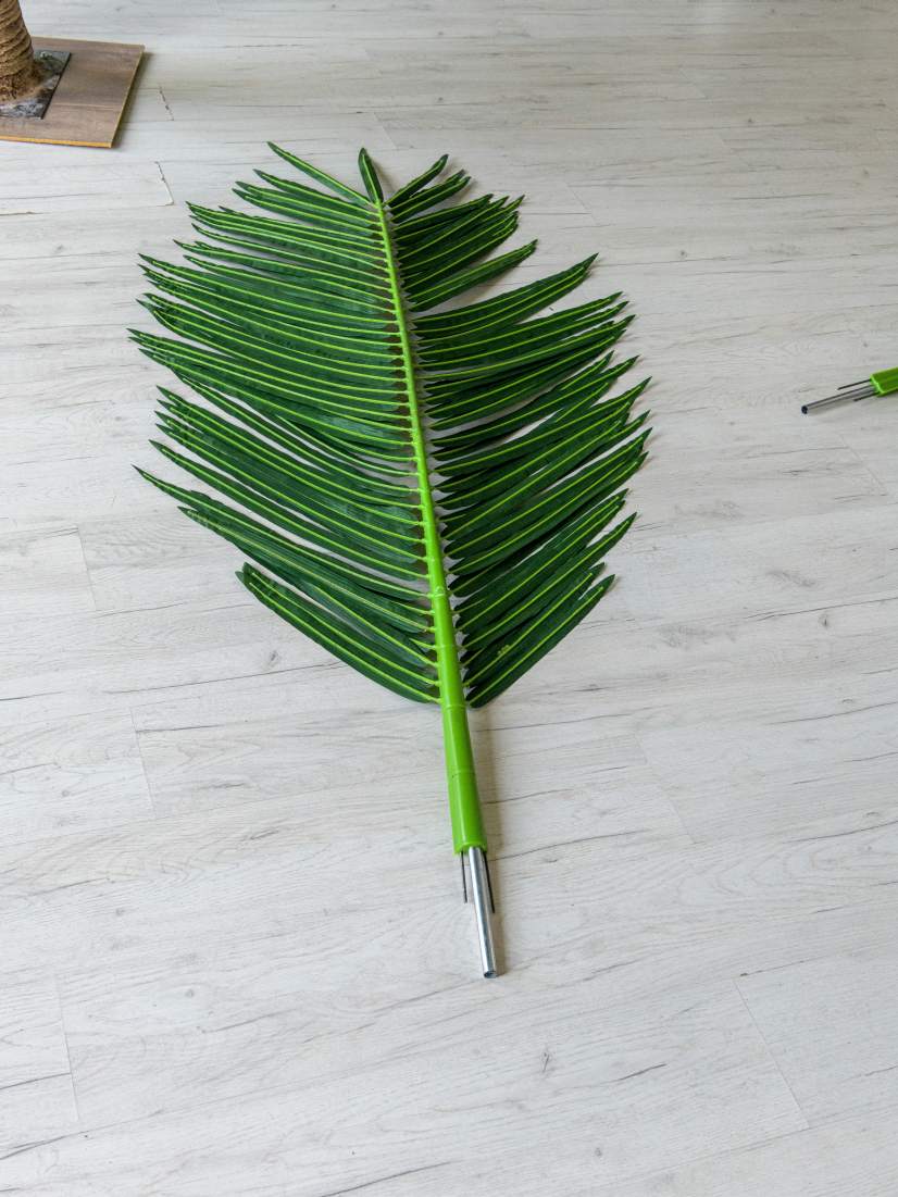 Съемные ветви пальмы