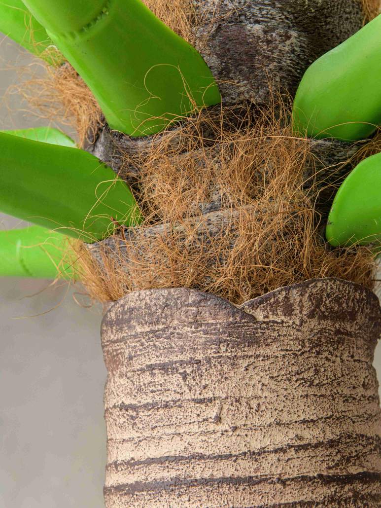 Съемные ветви пальмы