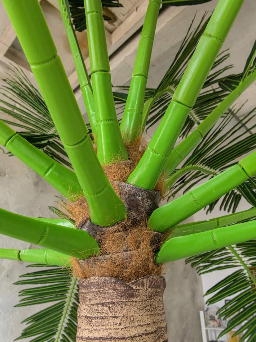 Ветви защищены от выгорания на солнце